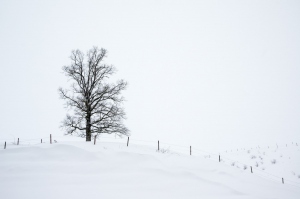 Winter - Irsee  (Available for Print)