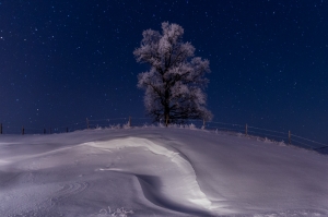 Yes It Was Cold - Irsee  (Available for Print)